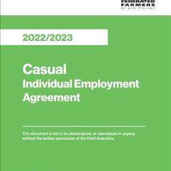 Casual Employment Agreement