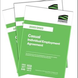 Casual Employment Agreement - Bundle of 3 Sets